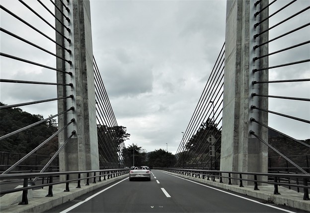DSCN8289