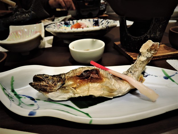 DSCN8314