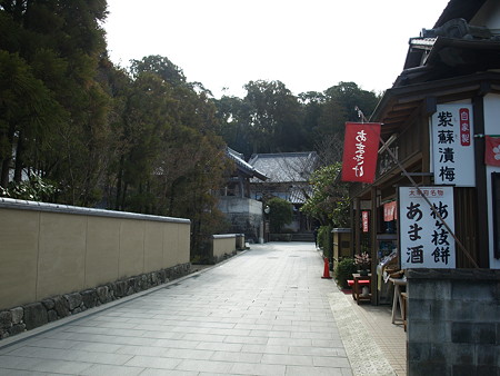 P1260072