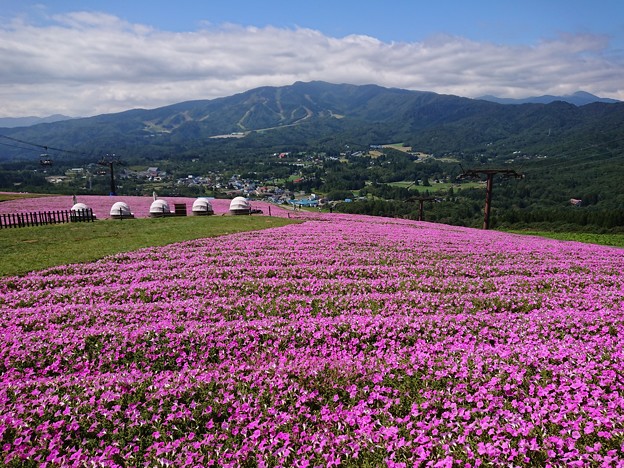 Photos: 高原は涼し 26℃