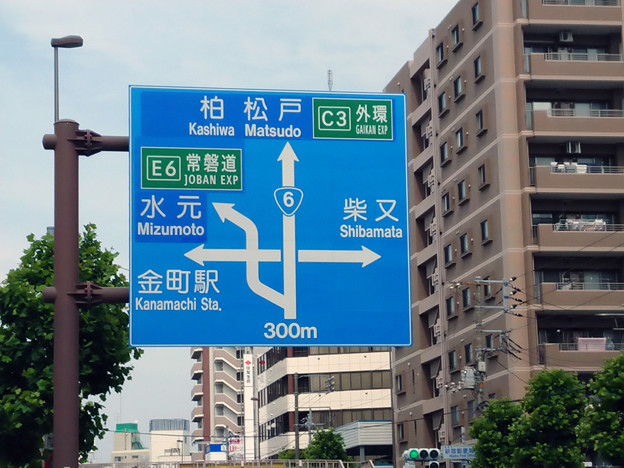 標識(青看) [国道6号線]