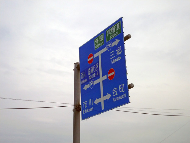 標識(青看) [松戸市道]