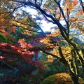 Photos: 那谷寺の紅葉
