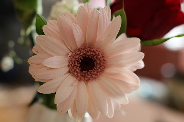 花瓶の花