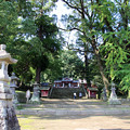 Photos: 大楠神社