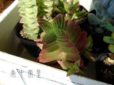 20080723_02