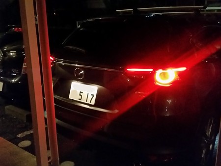 ナンバー灯純正
