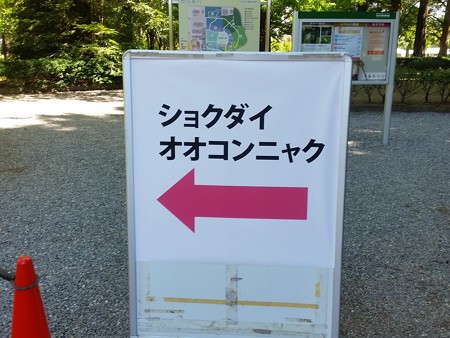 ショクダイオオコンニャク01