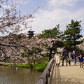 春の三渓園