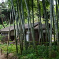 Photos: 夏の三渓園