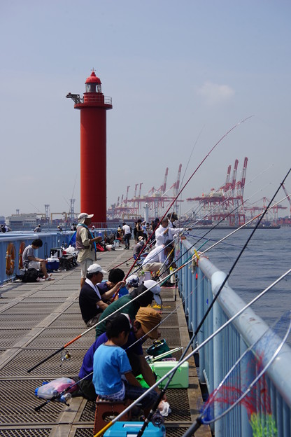 海 釣り 公園 大黒ふ頭 大黒緑地公園：横浜港の絶景を臨みながら、釣りやバーベキューも [鶴見区]