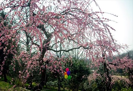 IMGP8129_0316