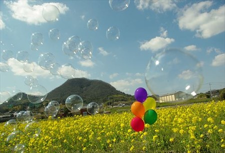 IMGP9319_0322
