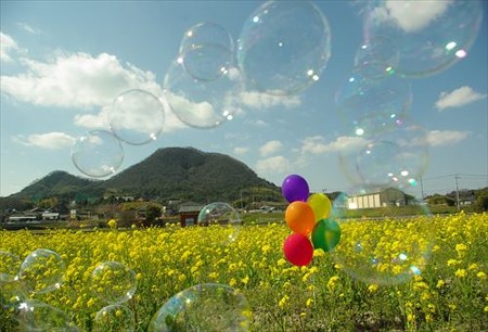 IMGP9364_0322