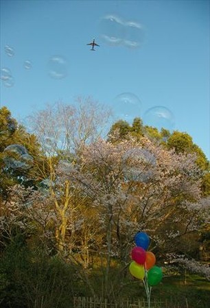 IMGP9912_0322