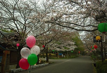 IMGP0293_0329