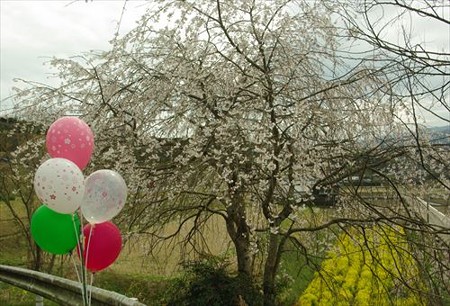 IMGP0473_0329