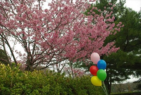 IMGP0665_0329