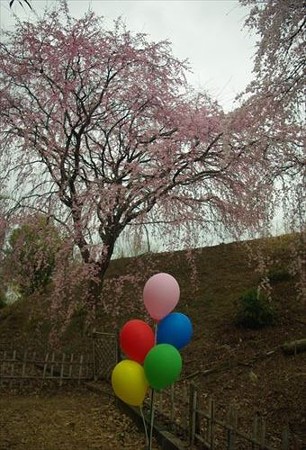 IMGP1214_0329