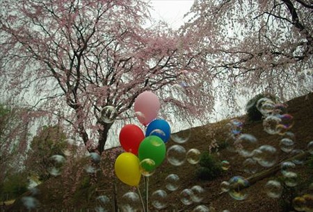 IMGP1229_0329