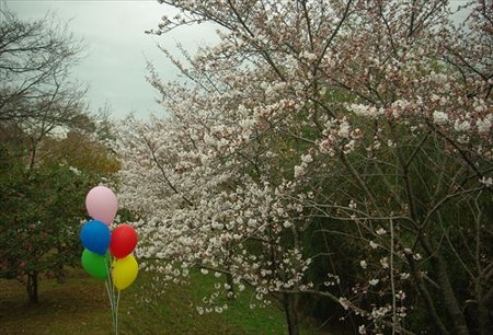 IMGP1242_0329