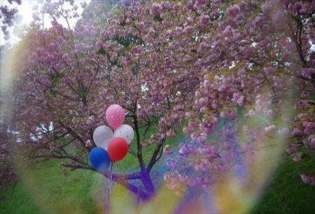 IMGP0253_0419