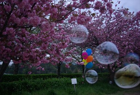 IMGP0460_0420