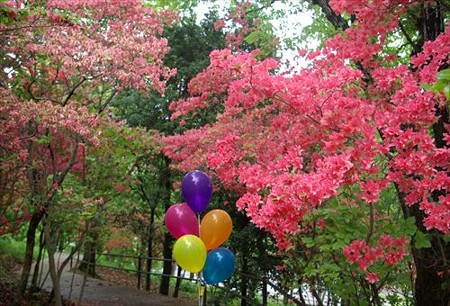 IMGP0092_0429