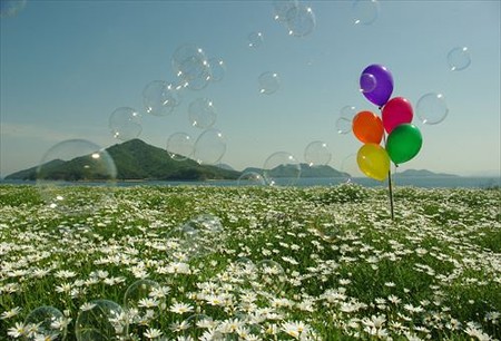 IMGP4919_0504