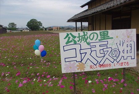 IMGP5094_1108