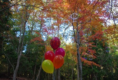 IMGP6155_1116