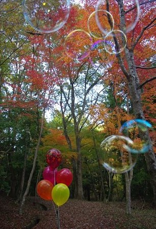 IMGP6325_1116