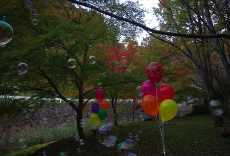 IMGP6486_1116
