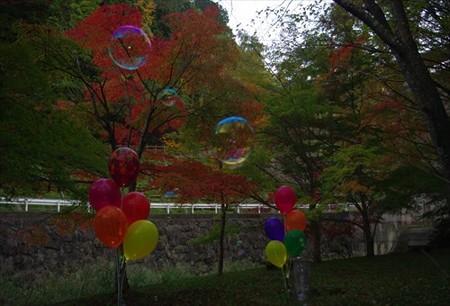 IMGP6525_1116