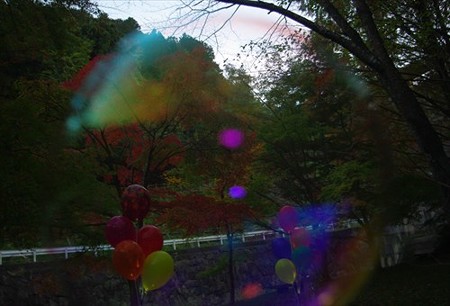 IMGP6560_1116