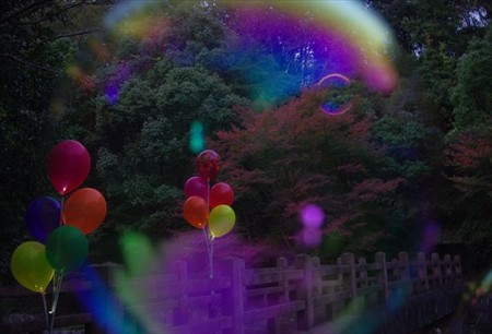IMGP6595_1116