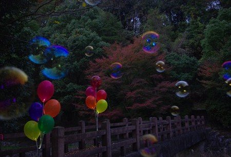 IMGP6614_1116