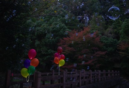 IMGP6622_1116