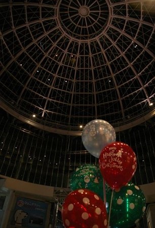 IMGP8444_1116