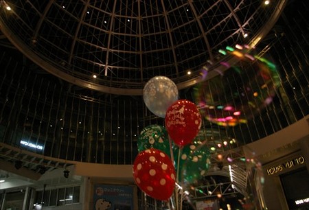 IMGP8465_1116