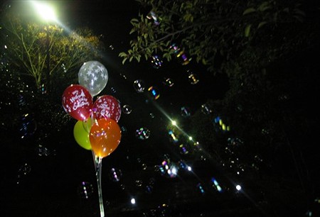 IMGP8593_1119