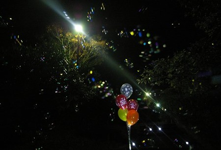 IMGP8650_1119