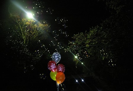 IMGP8686_1119