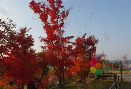 IMGP7340_1122