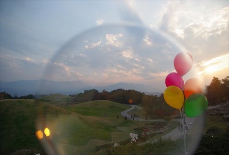 IMGP7409_1122
