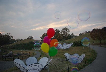 IMGP7429_1122