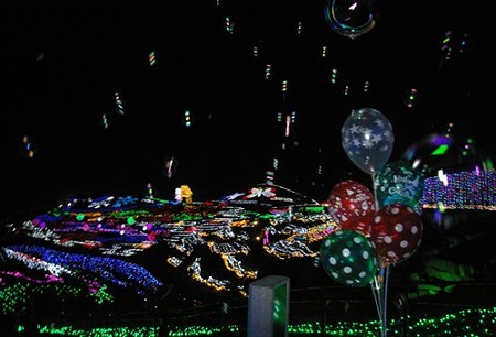 IMGP8802_1122