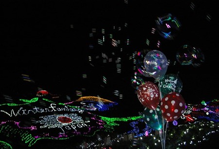 IMGP8845_1122