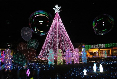 IMGP8976_1122
