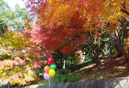 IMGP8134_1124